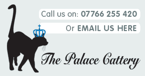 Call us on 07766 255 420